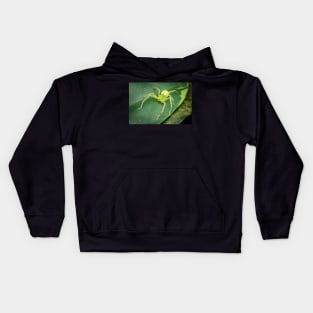 A female green huntsman spider (Micrommata virescens) Kids Hoodie